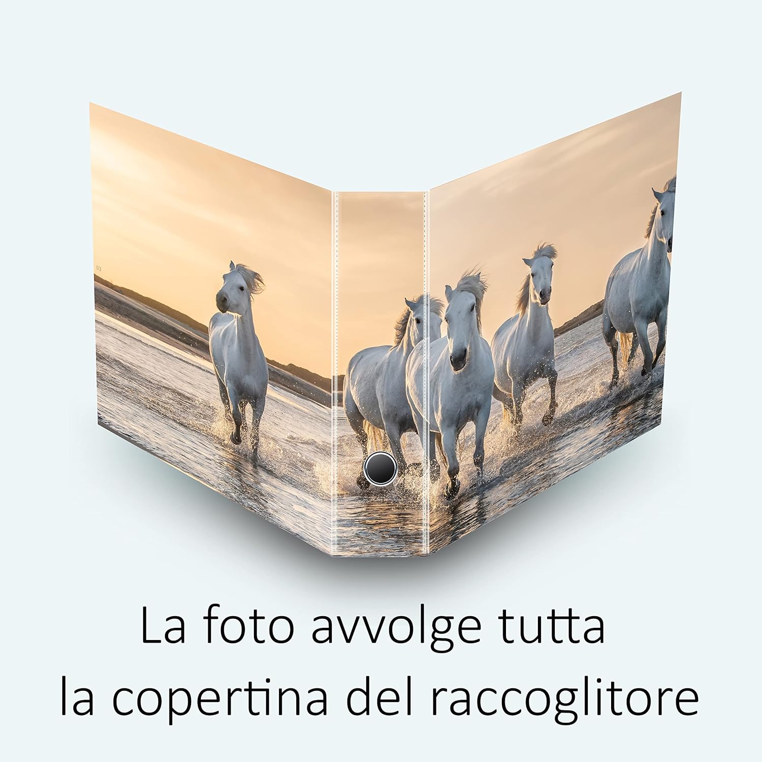 Set da 7 raccoglitori ad anelli CAVALLI - Faldoni SHAREPRINTING (H31 con 2 anelli)