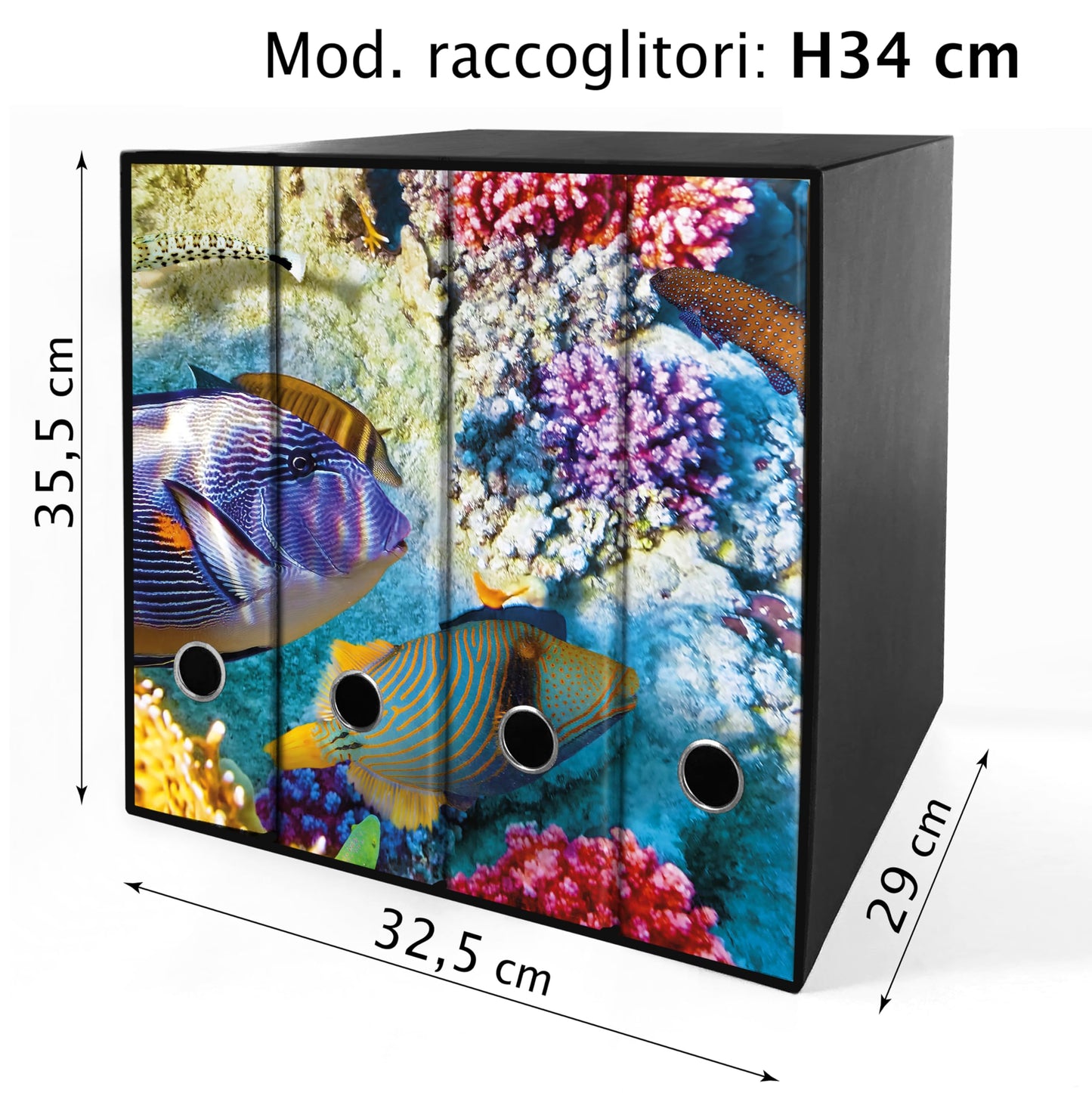 Set da 4 raccoglitori ad anelli - PESCI e CORALLI