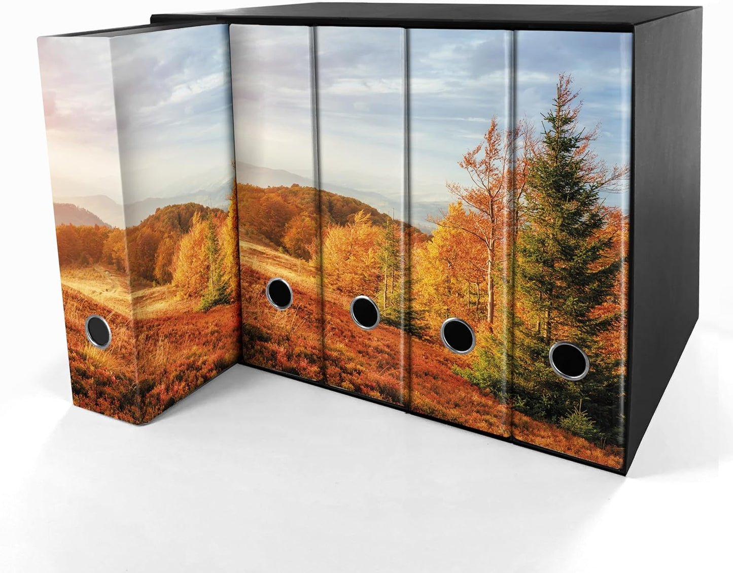 Set da 5 raccoglitori ad anelli - AUTUNNO (H31 cm con 2 anelli)