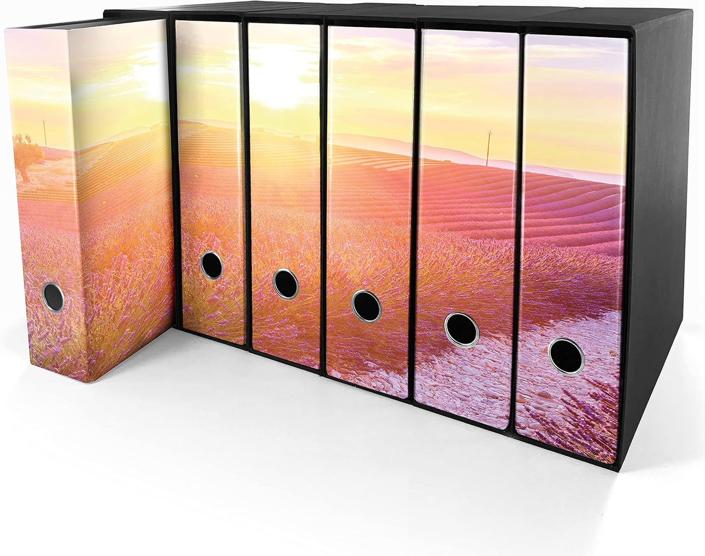 Set da 6 raccoglitori ad anelli - LAVANDA al TRAMONTO (H31 cm con 2 anelli)