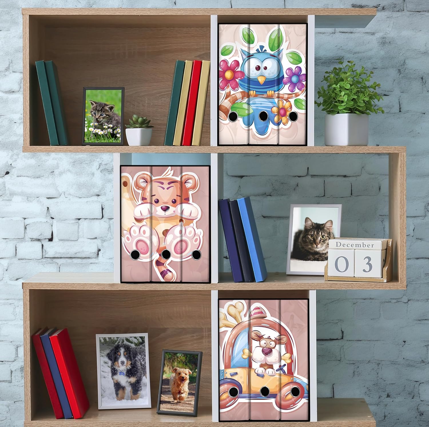Set 3 raccoglitori ad anelli - FUFI (H31 cm con 2 anelli)