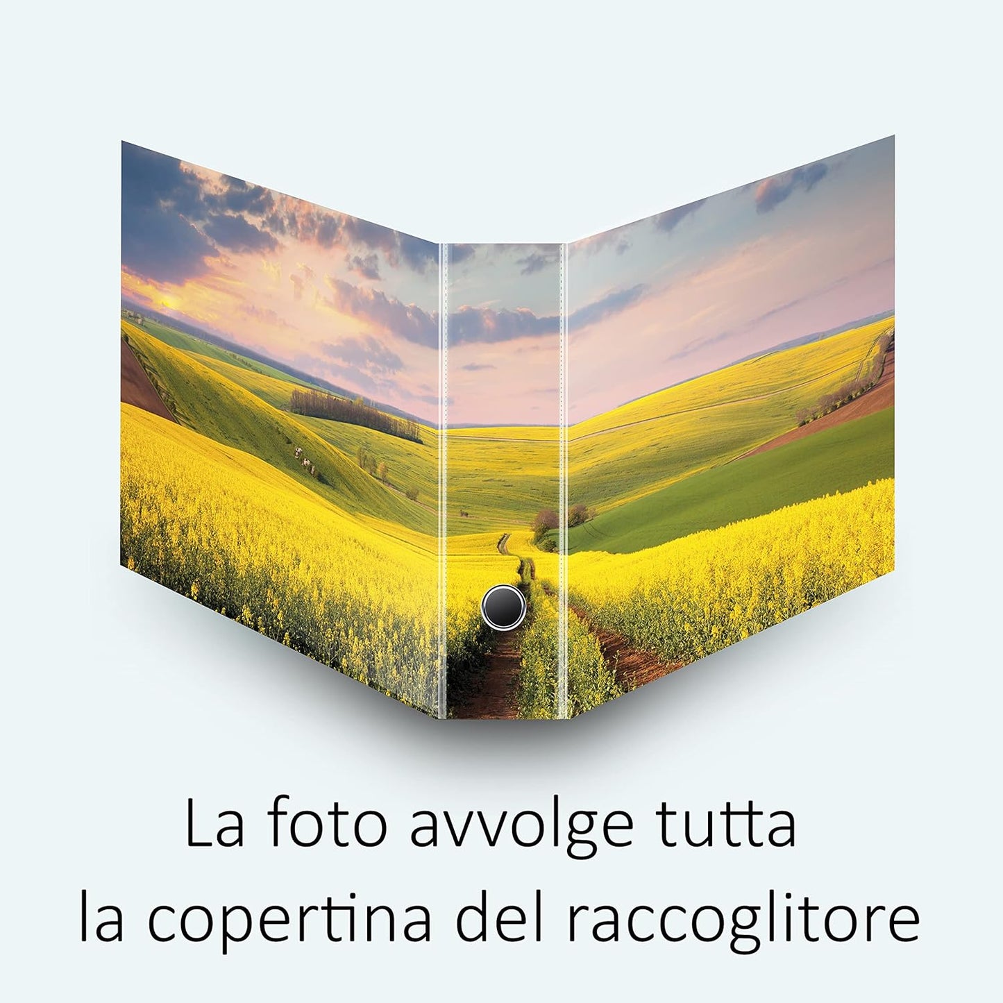 Set da 9 raccoglitori ad anelli CAMPO FIORITO - Faldoni SHAREPRINTING (H31 con 2 anelli)
