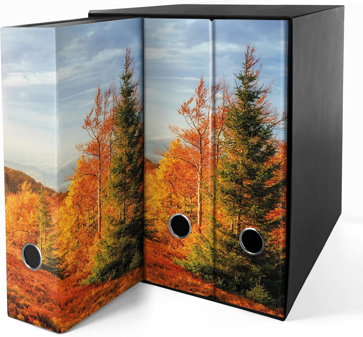 Set da 3 raccoglitori ad anelli - AUTUNNO (H31 cm con 2 anelli)