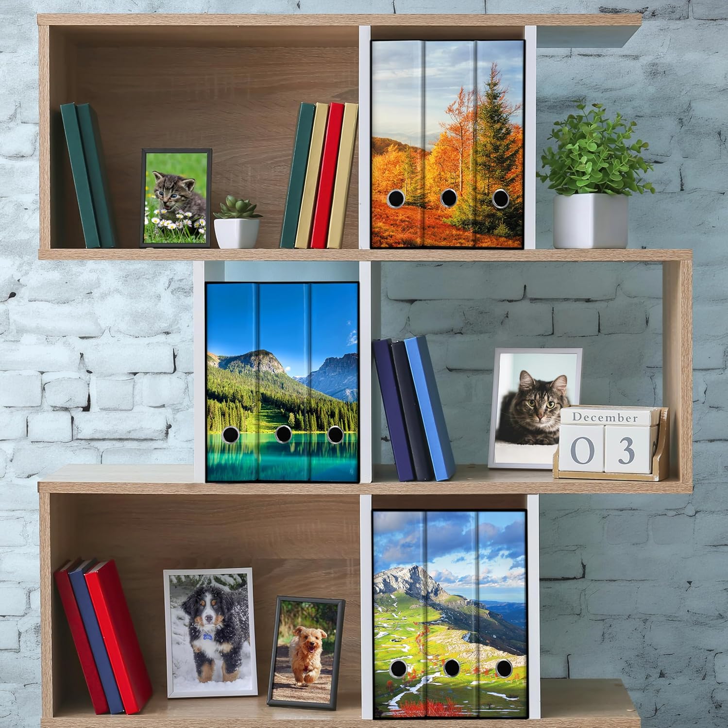 Set da 3 raccoglitori ad anelli - MONTAGNA con PRATI (H31 cm con 2 anelli)