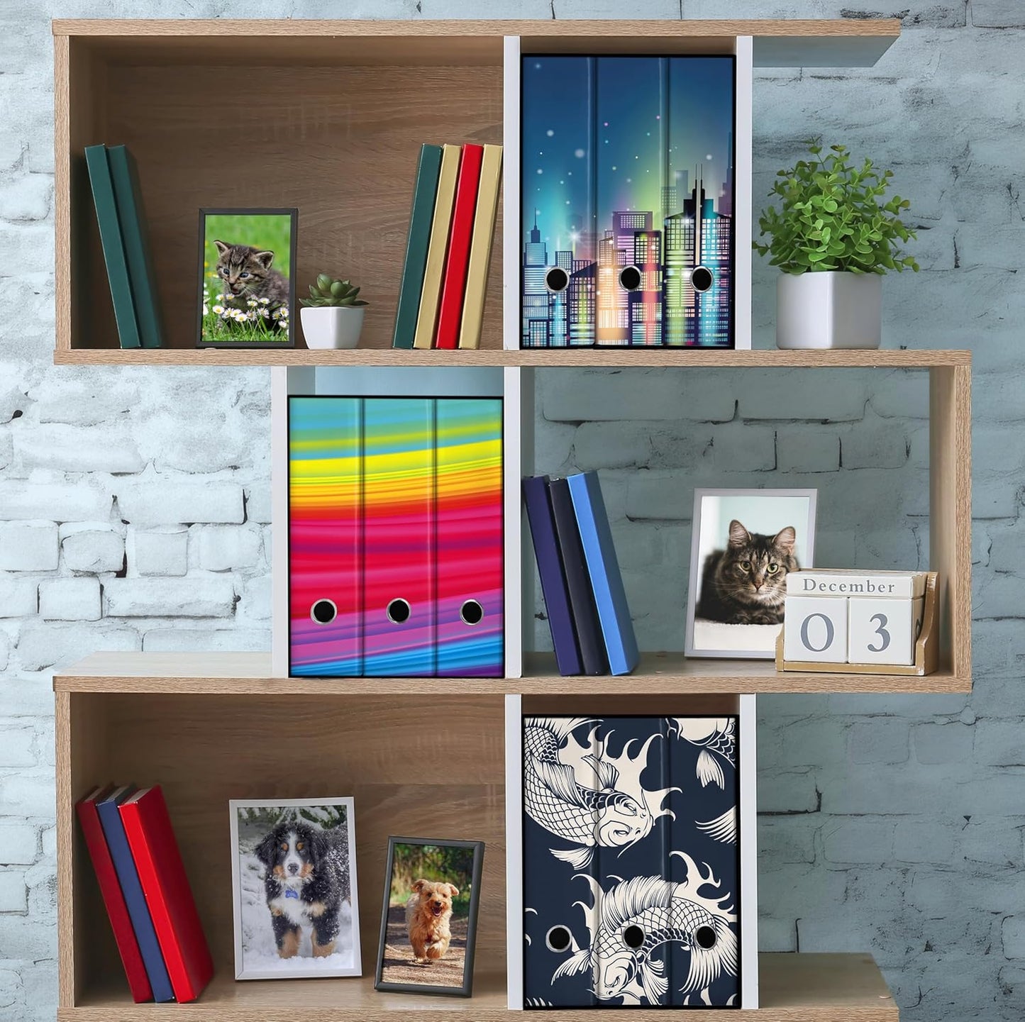 Set da 3 raccoglitori ad anelli ARCOBALENO - Faldoni SHAREPRINTING (H31 con 2 anelli)