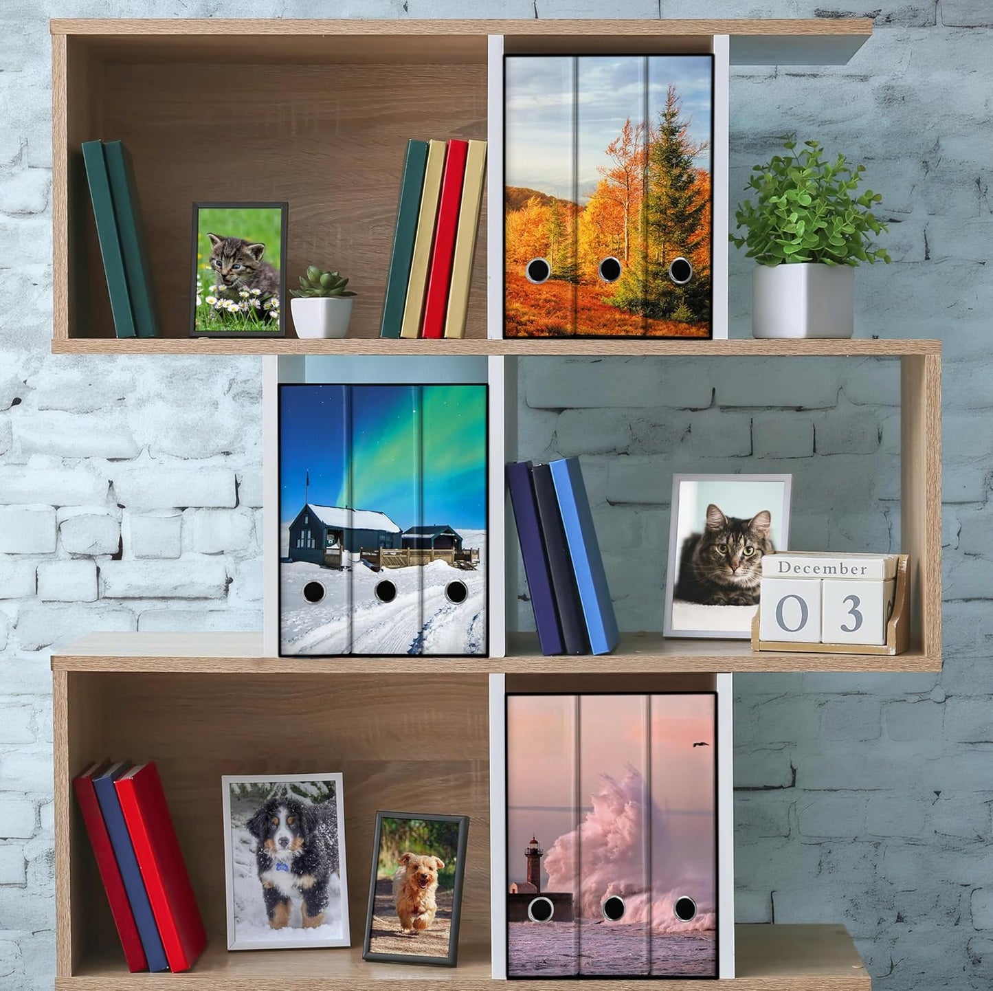 Set da 3 raccoglitori ad anelli - AUTUNNO (H31 cm con 2 anelli)