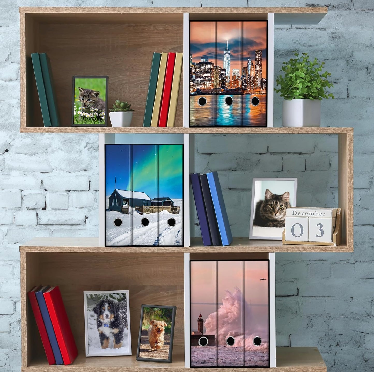 Set da 3 raccoglitori ad anelli - NEW YORK (H31 cm con 2 anelli)