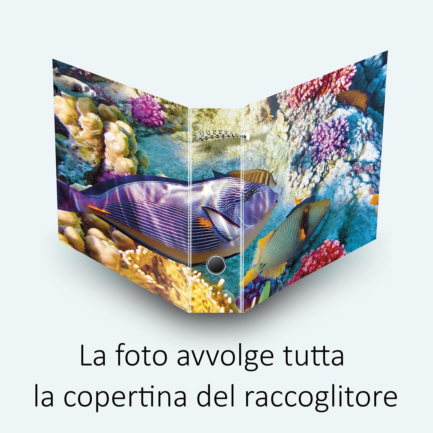 Set da 4 raccoglitori ad anelli - PESCI e CORALLI