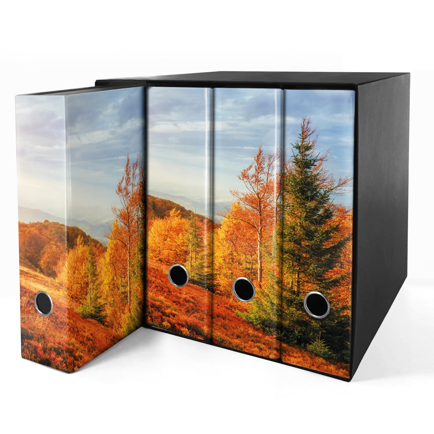 Set da 4 raccoglitori ad anelli - AUTUNNO