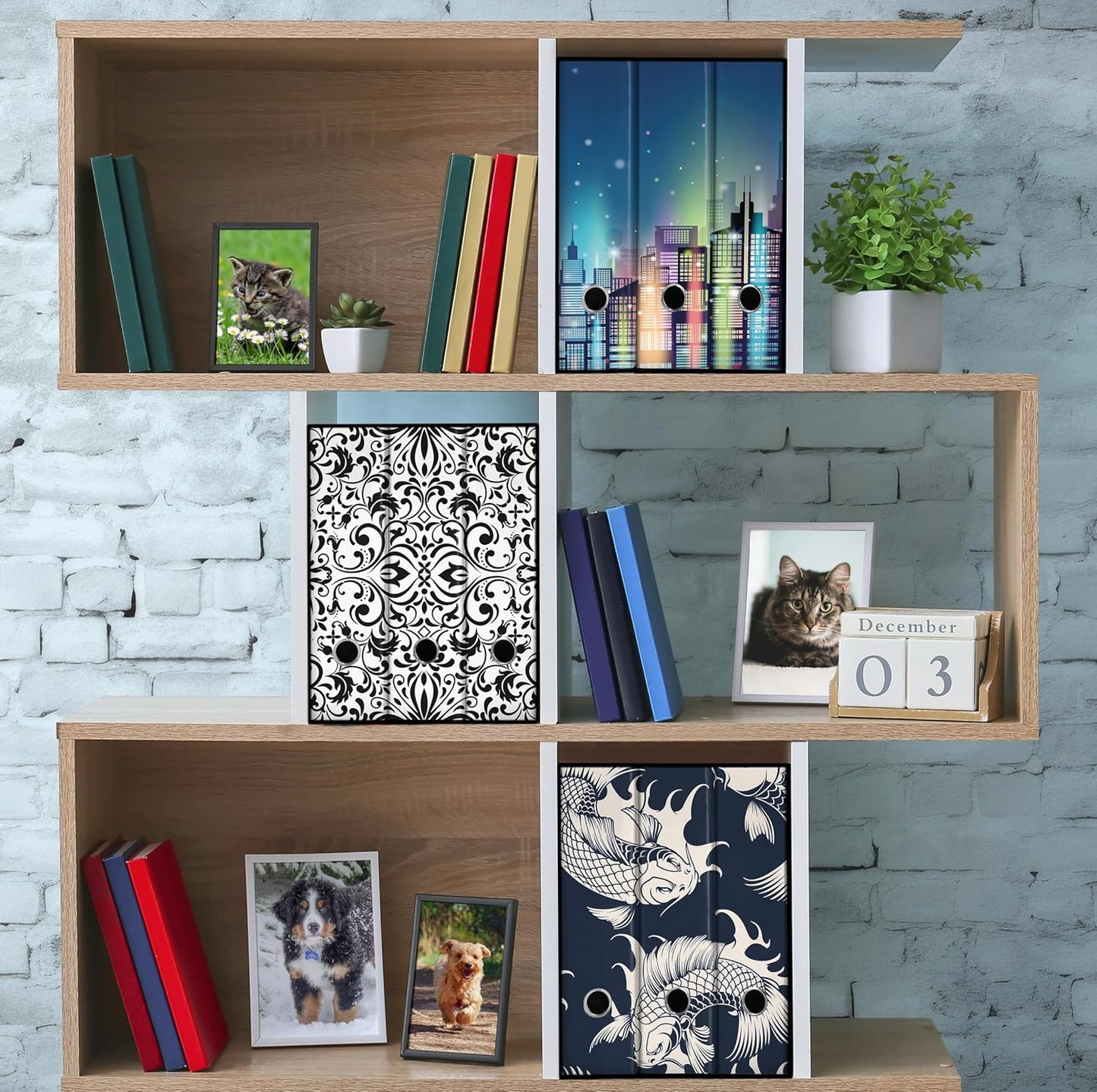 Set da 3 raccoglitori ad anelli CITTA DI NOTTE - Faldoni SHAREPRINTING (H31 con 2 anelli)