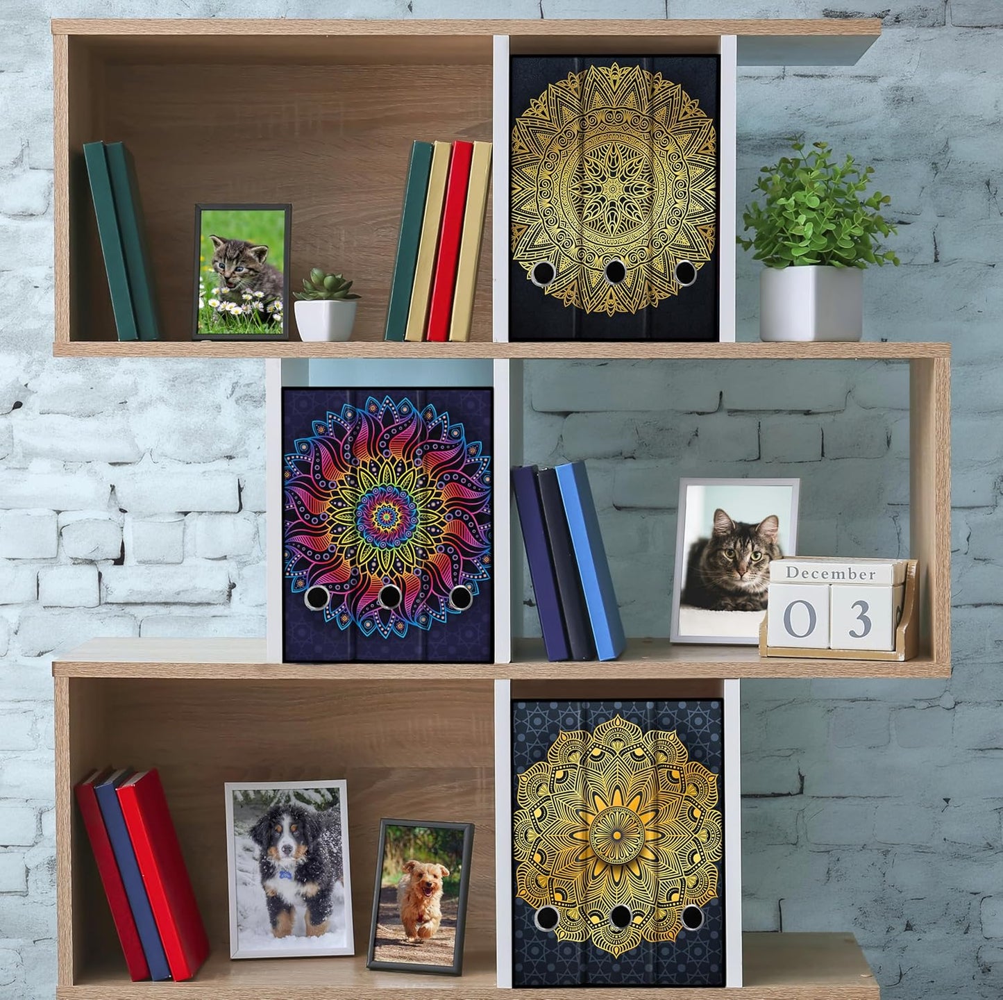 Set 3 raccoglitori ad anelli - MANDALA ARCOBALENO (H31 cm con 2 anelli)