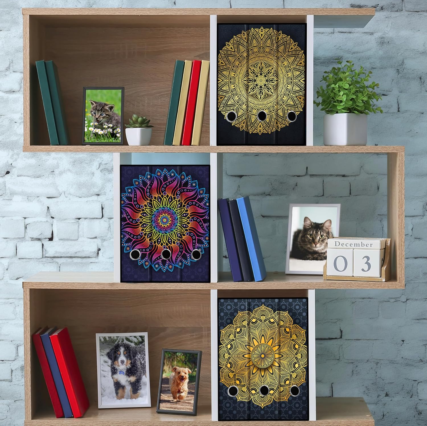 Set da 3 raccoglitori ad anelli - MANDALA color ORO (H31 cm con 2 anelli)