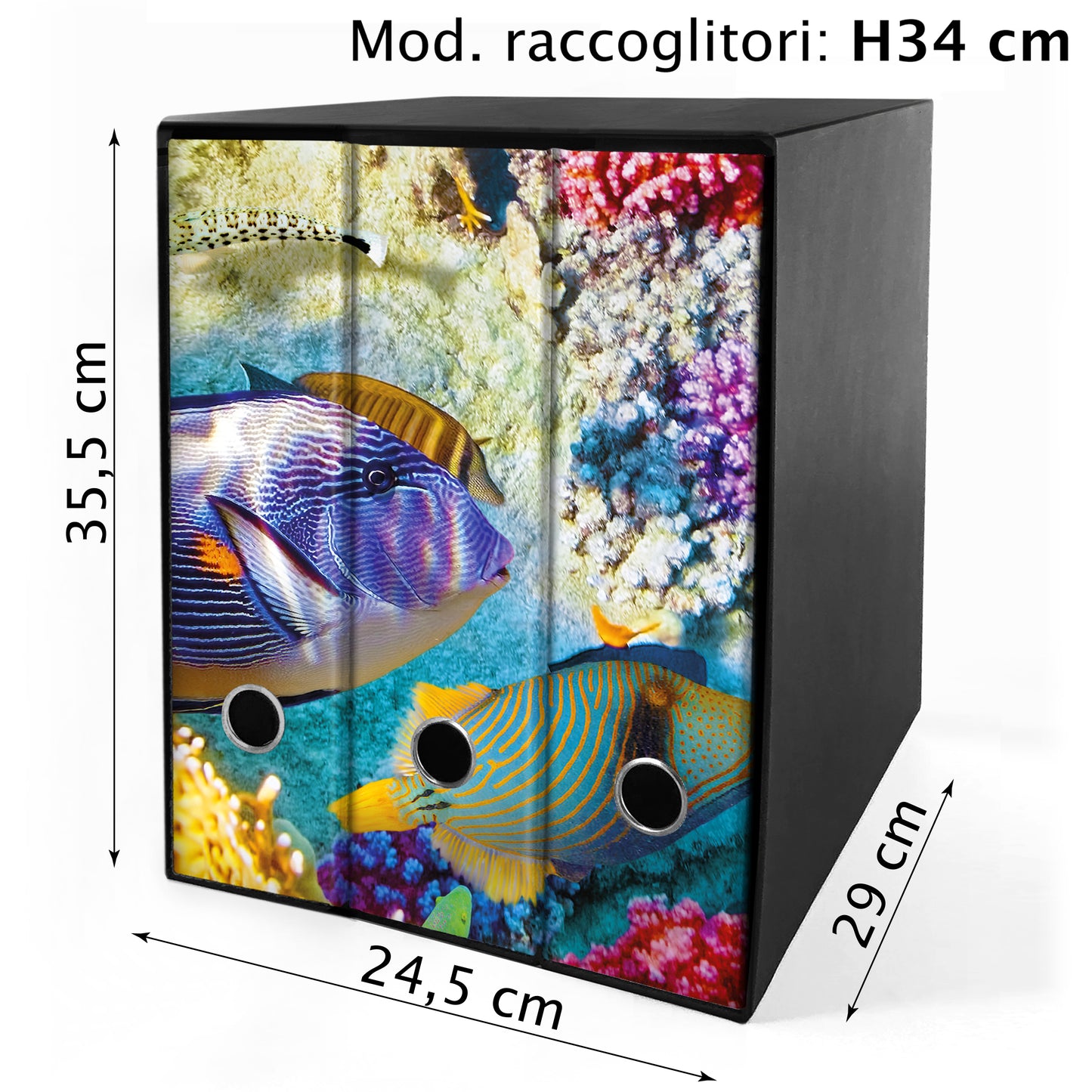 Set da 3 raccoglitori ad anelli - PESCI