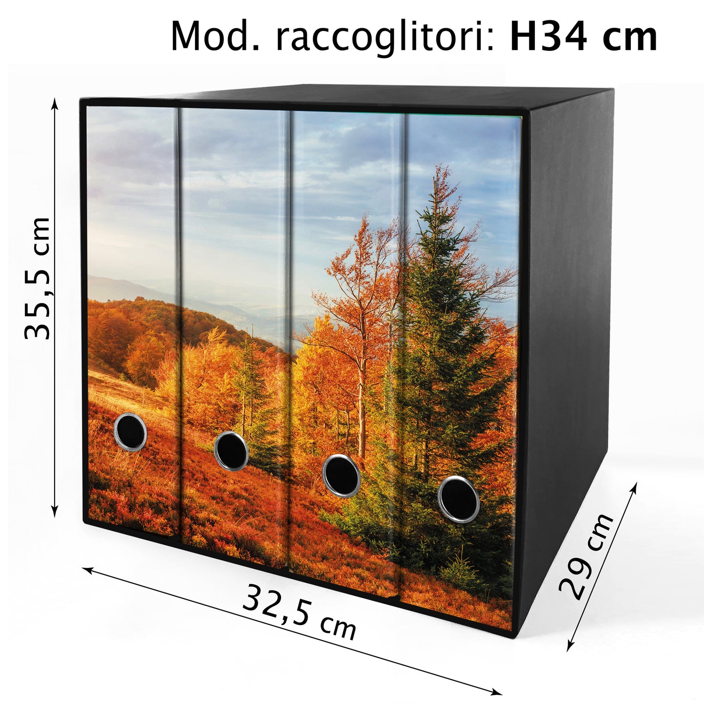 Set da 4 raccoglitori ad anelli FIRENZE - Faldoni SHAREPRINTING
