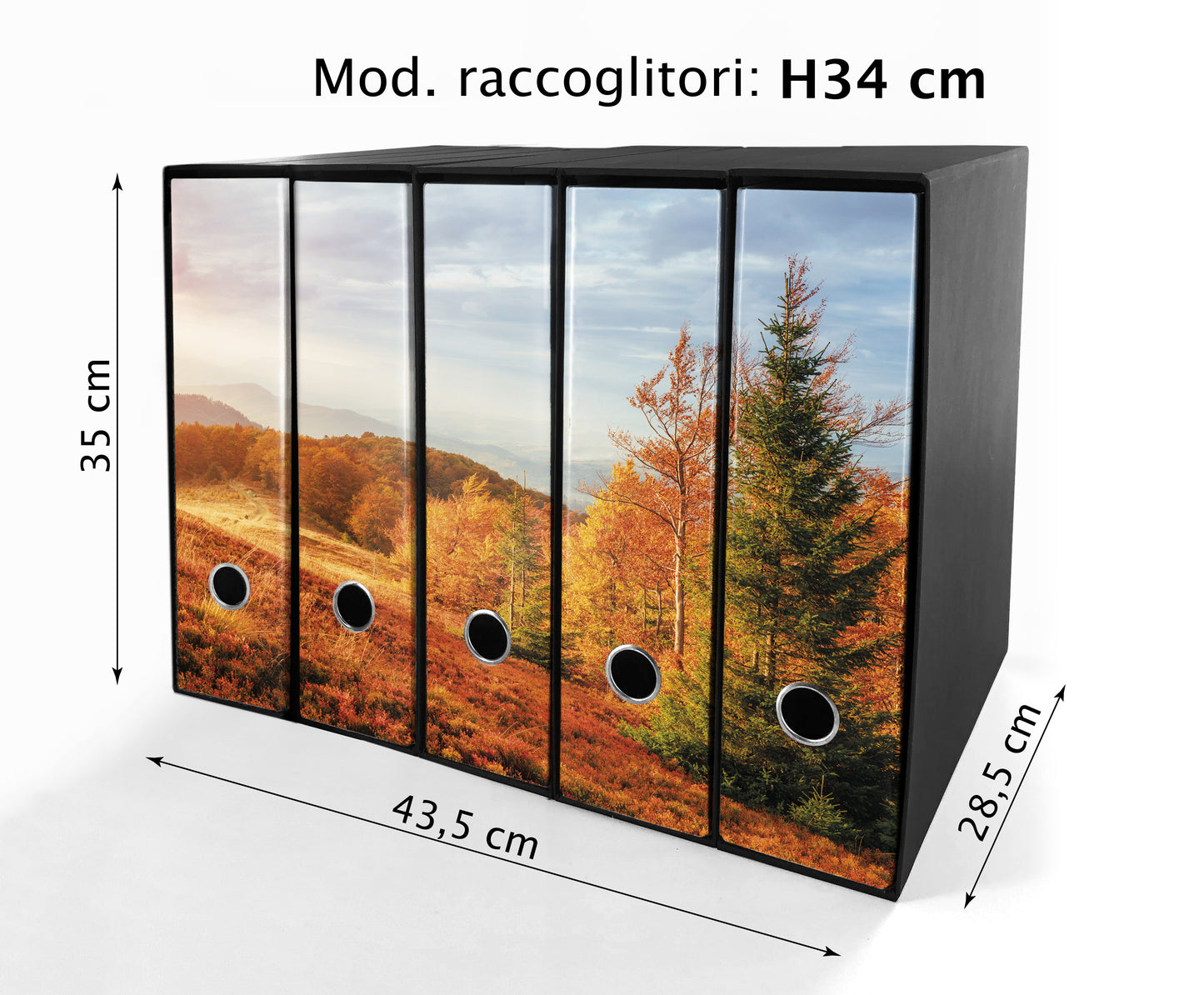 Set da 5 raccoglitori ad anelli - AUTUNNO
