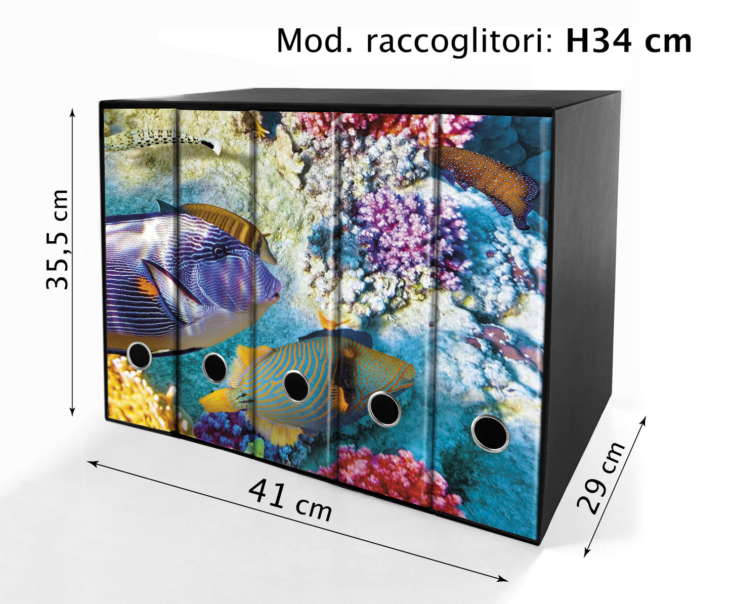 SET da 5 Raccoglitori ad anelli - PESCI