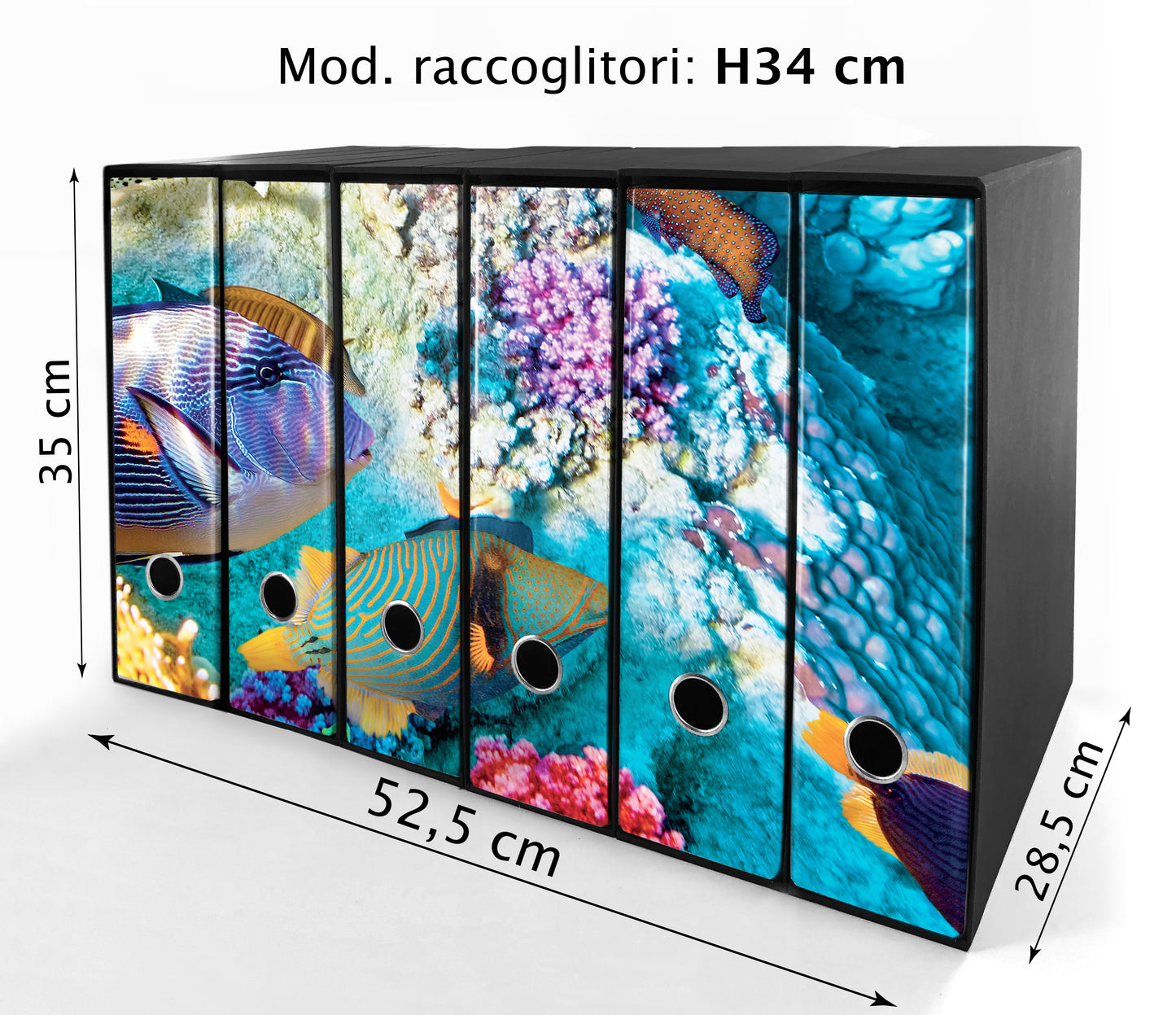 Set da 6 raccoglitori ad anelli - PESCI e CORALLI