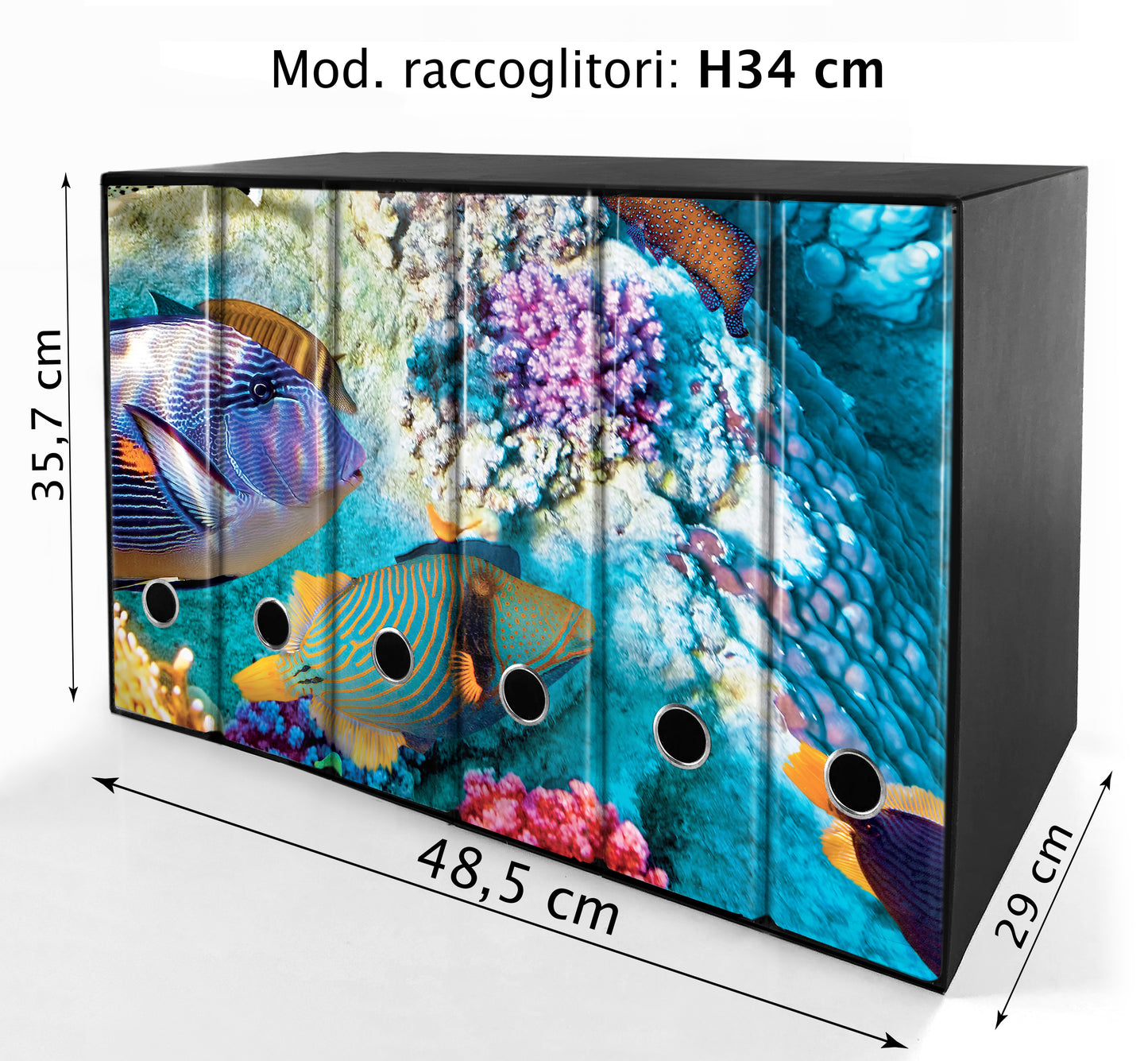 Set da 6 raccoglitori ad anelli - PESCI e CORALLI